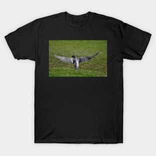 A Peregrine's wingspan T-Shirt